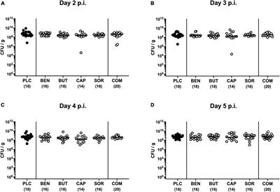 Combination of organic acids benzoate, butyrate, caprylate, and sorbate provides a novel antibiotics-independent treatment option in the combat of acute campylobacteriosis